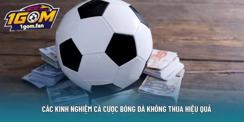 Các kinh nghiệm cá cược bóng đá không thua hiệu quả
