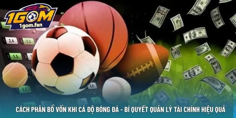 Cách phân bổ vốn khi cá độ bóng đá