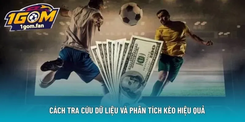 Cách tra cứu dữ liệu và phân tích kèo hiệu quả