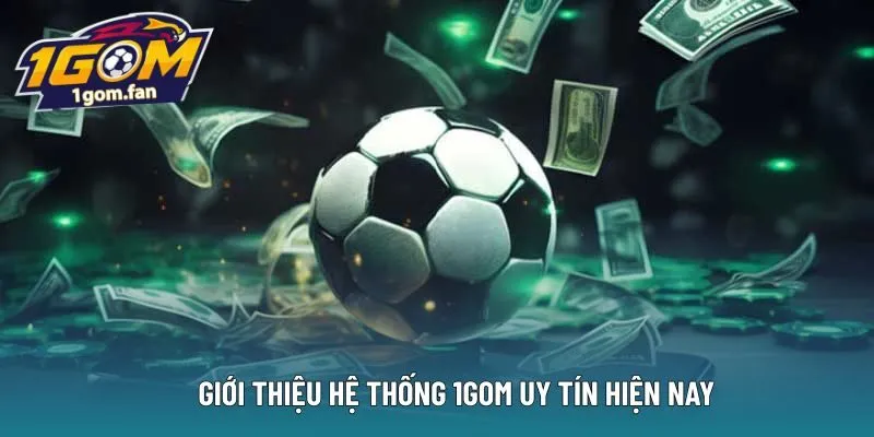 Giới thiệu hệ thống 1Gom uy tín hiện nay