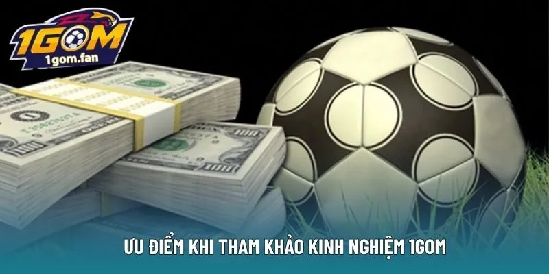 Ưu điểm khi tham khảo kinh nghiệm 1Gom